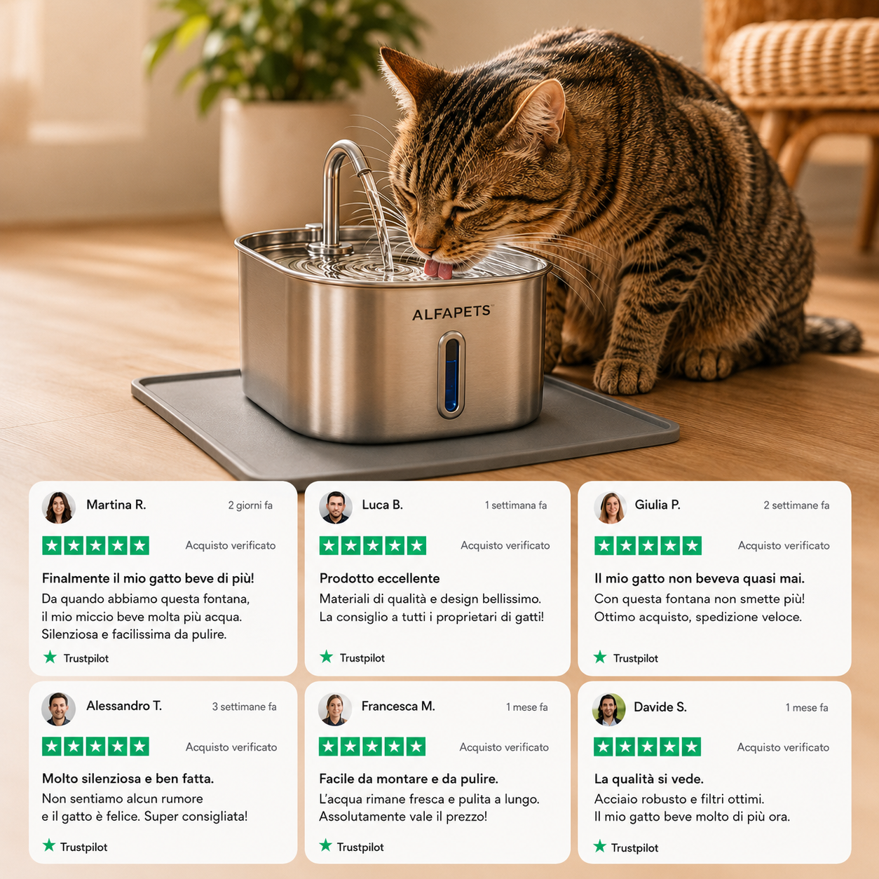 ALFAPETS™ SteelFlow – Fontana per Gatti 2,2L